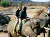 Anja Naude - elephant back safari and interaction